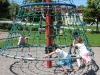Arbre_au_parc_Sangster