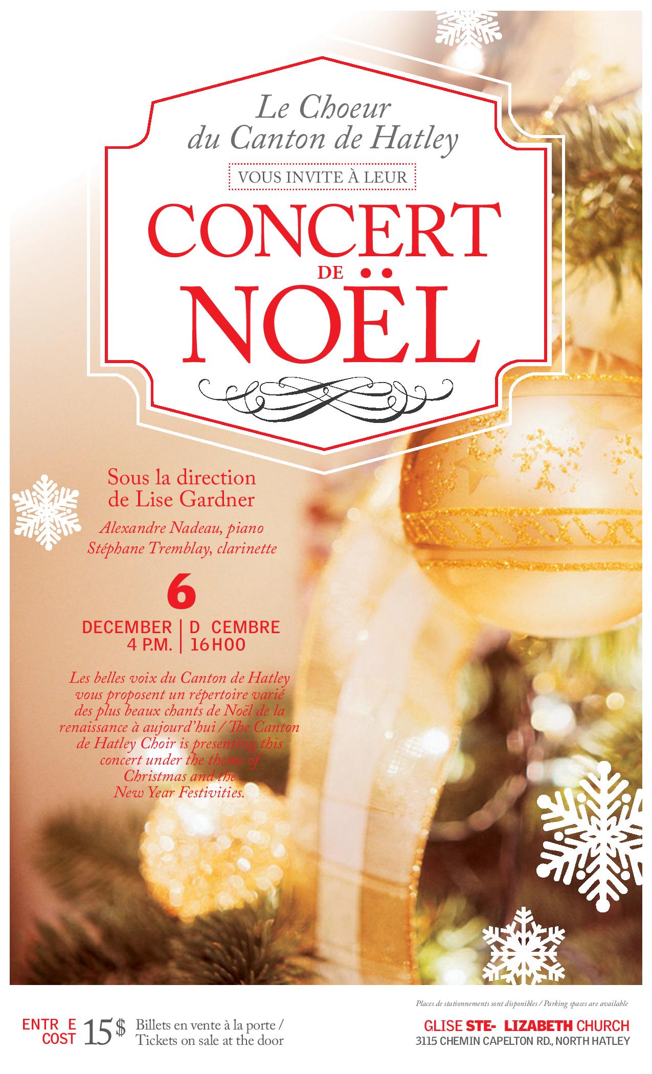 Read more about the article Christmas concert on December 6
