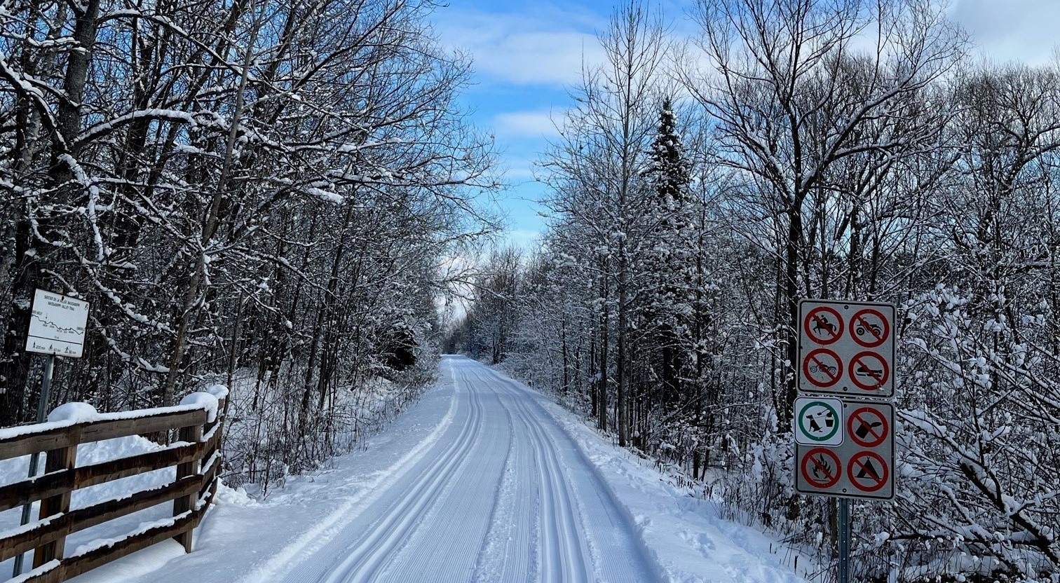 Read more about the article Cross-country ski trail