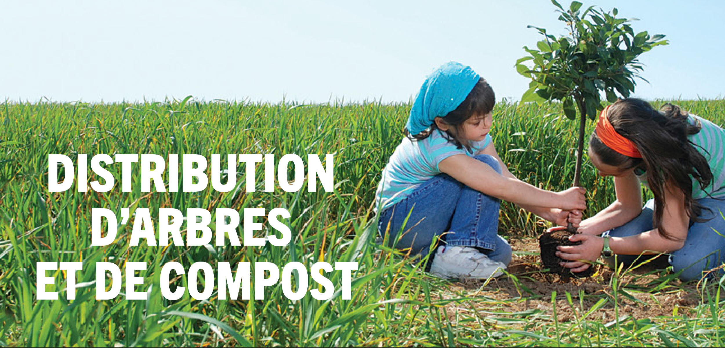 Read more about the article Distribution d’arbres et de compost 2023
