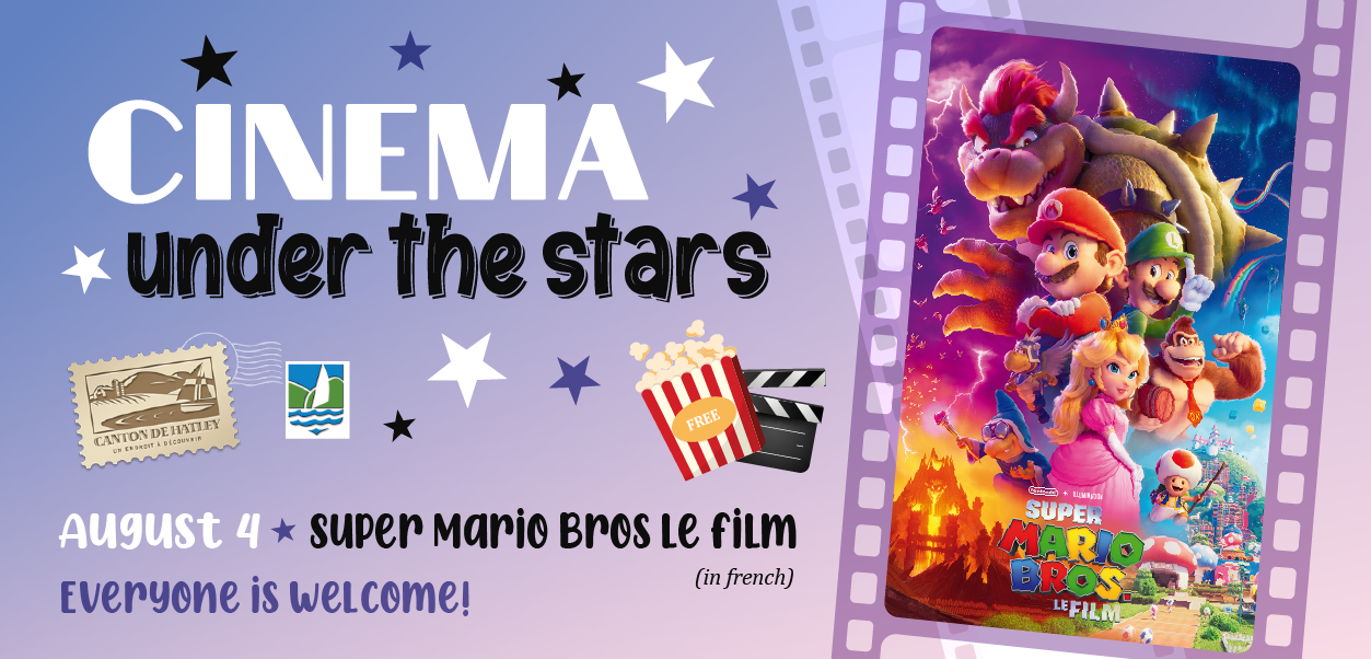 Read more about the article Cinema under the stars