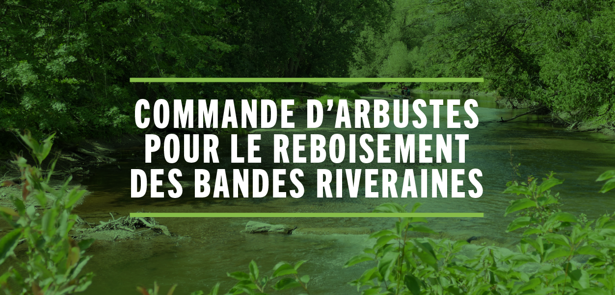 Read more about the article Distribution d’arbustes pour les bandes riveraines