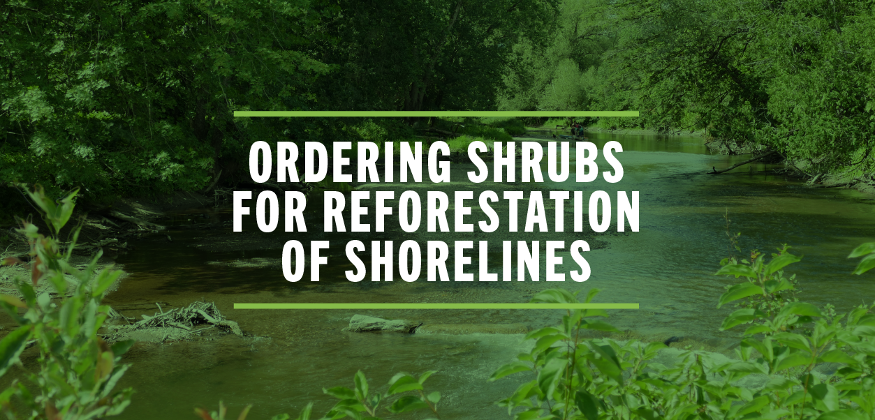 Read more about the article Shrub distribution for shorelines