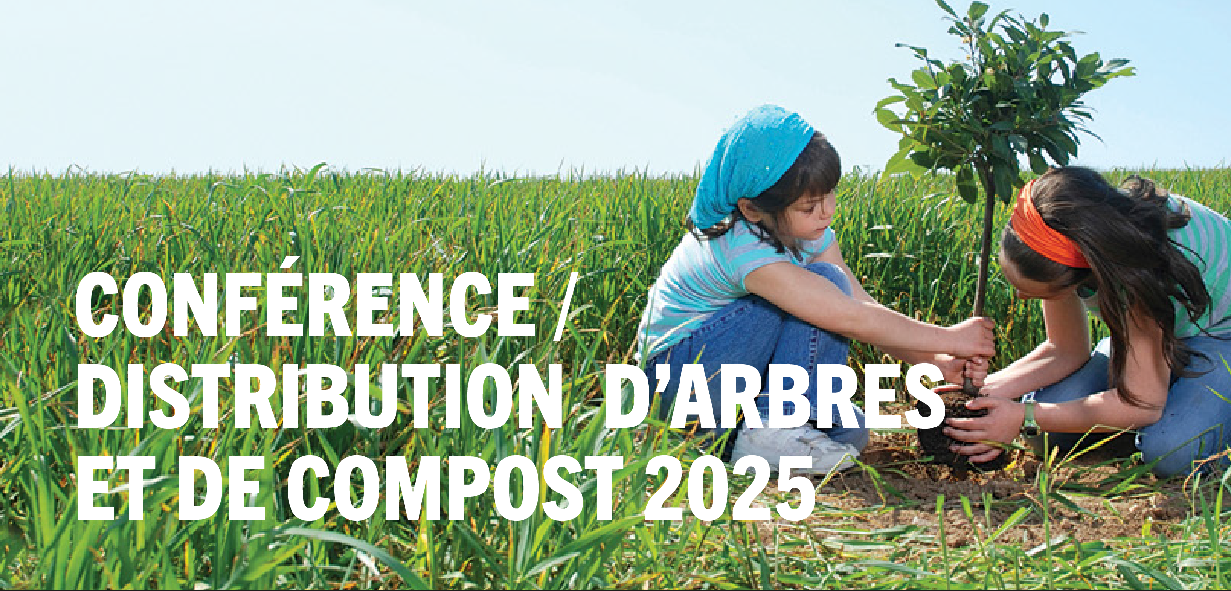 Read more about the article Distribution d&rsquo;arbres et de compost 2025