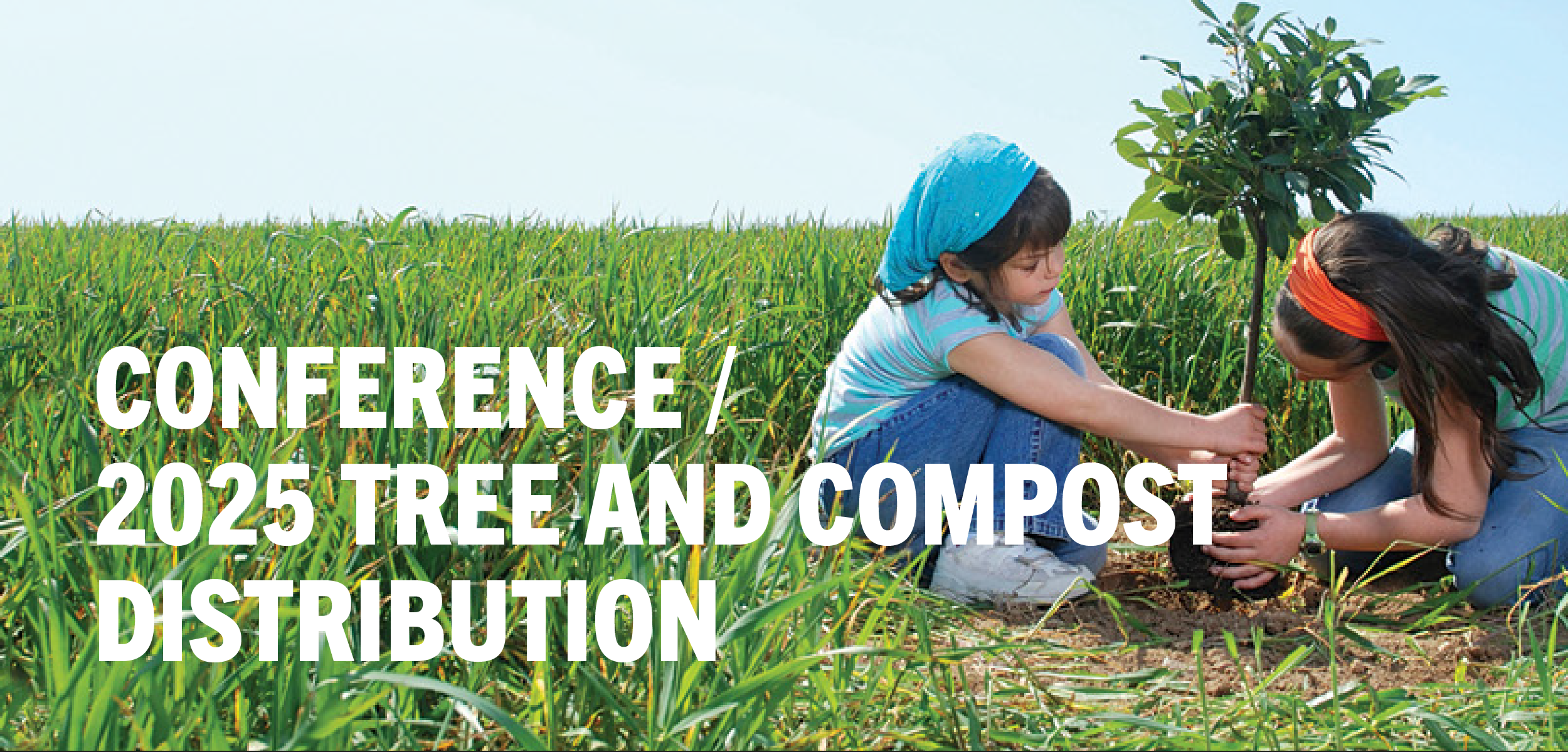 You are currently viewing 2025 Tree and compost distribution
